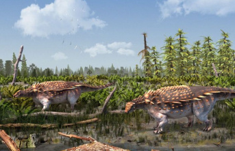 Paleontology: New species of dino with spiked armor...