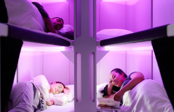 Bunk beds in the plane: "Skynest": Air New...