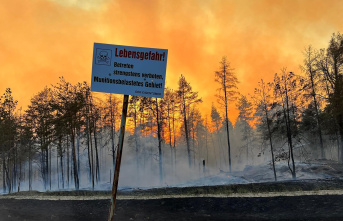 Ludwigslust-Parchim: forest fires are raging in Mecklenburg-Western...