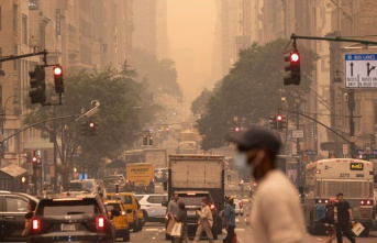 Environment: "Mars or Manhattan?" - Smoke from forest fires over New York