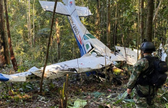 Accidents: Children rescued 40 days after plane crash in Colombia