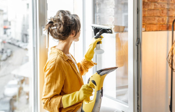 Quick and streak-free: keep the perspective: tips and tricks for window cleaning