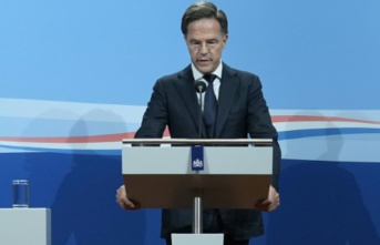 Dutch government falls over migration policy dispute