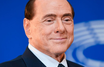 Will: Who will inherit Berlusconi's billion-dollar...
