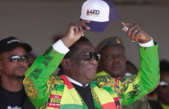 Africa: Incumbent Mnangagwa wins Zimbabwe presidential...