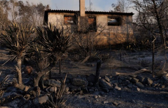Climate: Greeks fight fires - 18 bodies discovered