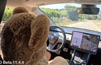 Bear at the wheel: Teddy instead of driver: Tesla...