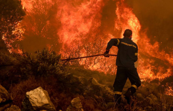 Forest fires in Greece: One of the most important...