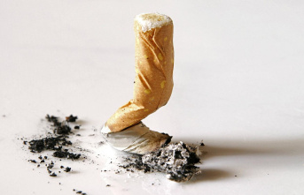Nicotine addiction: little brain mass, high potential...