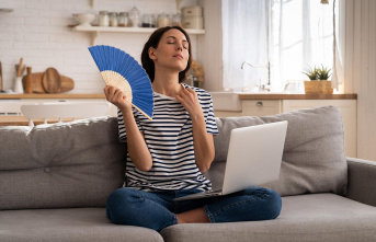 Heat wave: cool your home without air conditioning:...