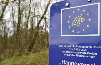 Nature conservation: Significant losses in Lower Saxony...