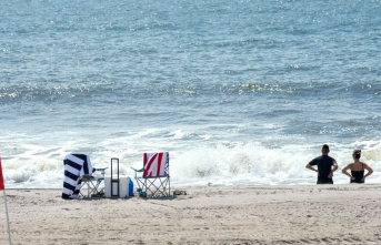 USA: Shark attack on a beach in New York – woman...