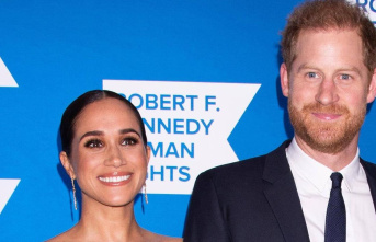 New project: Prince Harry and Meghan want to film...
