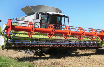 Panorama news: 25-year-old gets caught in a combine...