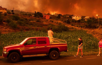 Emergencies: Tenerife, Greece and Canada battle fires