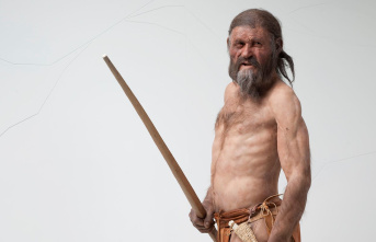 Archaeology: New research results on Ötzi - the most...