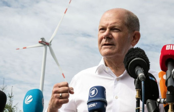 Energy: Scholz in the wind farm - "Courage at...