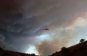 Climate: Forest fires: It rains ash in Alexandroupolis...