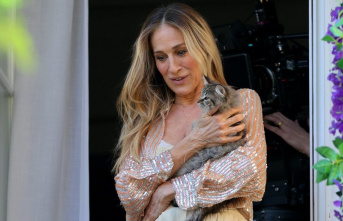 Sarah Jessica Parker: Carrie Bradshaw's cat adopted...