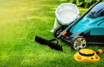 Gardening: Cleverly caring for your lawn: Seven practical...