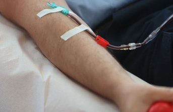 Health: Aidshilfe criticizes new blood donation guidelines