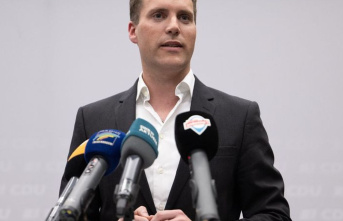 Parties: Southwest CDU: Hagel wants top job