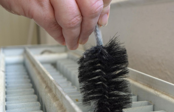 Reduce energy costs: That's why you should dust your radiators at least twice a year