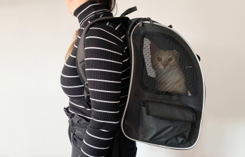 Up to 8 kg: Expandable cat backpack in the test: A...
