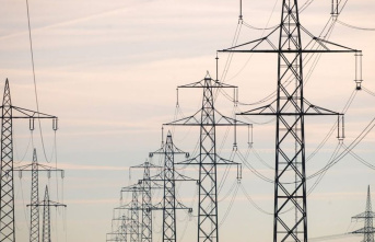 Energy: FDP parliamentary group: industrial electricity...