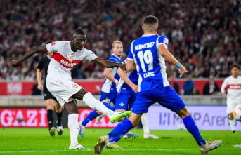 5th matchday: “He is outstanding”: VfB greets from above thanks to Guirassy