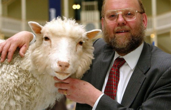 Genetic engineering: “Father” of clone sheep Dolly:...