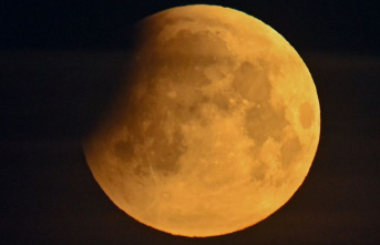Astronomy: The sky in October: lunar eclipse and shooting stars