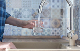 Tips: Descaling water: How to remove stubborn limescale...