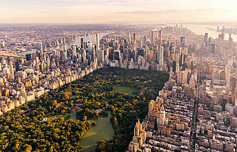 The Empire State's Economic Powerhouses: Top 10 Thriving Businesses in New York