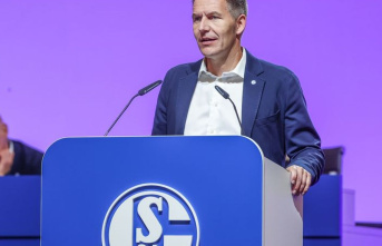 2nd League: Schalke: CEO found, coach wanted, Knäbel...