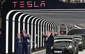 Inside Tesla: Everything under control? How Brandenburg's...