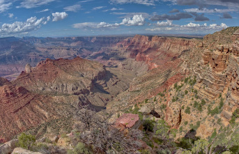 USA: Deadly danger to birds: Grand Canyon rangers...
