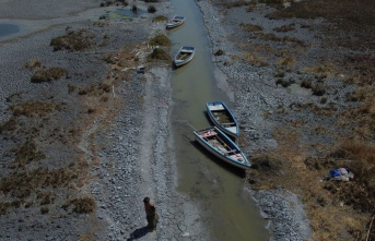 Drought: Lake Titicaca sinks below historic low