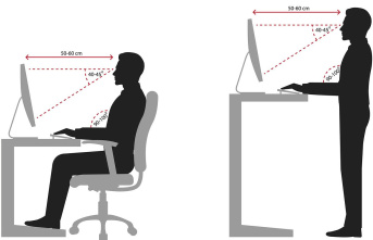 Working while sitting or standing: Ergonomics in the...