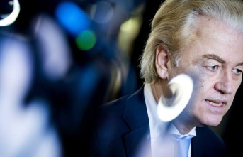 Netherlands: Wilders does not rule out minority cabinet