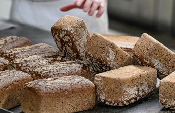Food: The baker's craft - between the art of...
