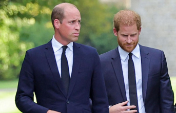 New biography: William is said to have ignored Harry's...