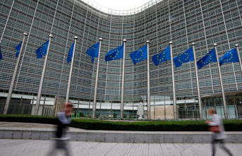 Environment: Brussels: EU wants to take tougher action...