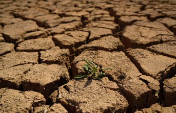 New study: Deadly heat – the climate catastrophe...