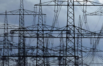 Energy: Network Agency expects electricity prices...