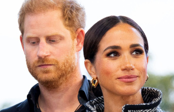 Controversial book: Dispute over racism of the royals: MP wants to strip Harry and Meghan of their titles