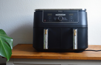 Popular kitchen appliance: The Ninja hot air fryer...
