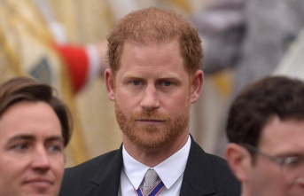 Prince Harry: Police protection process begins