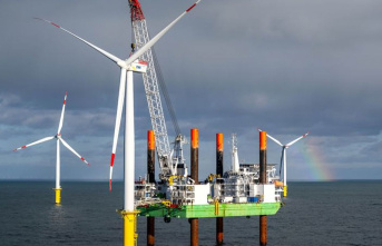 Energy transition: wind power at sea - from pioneering...
