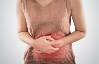 Healthy intestines: How does the intestinal flora...